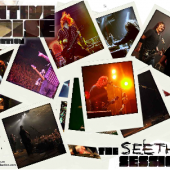 Get a free Seether Screensaver from The Native Noise Collection Get a free Seether Screensaver from The Native Noise Collection
