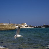 Cornwall Holiday