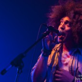 The Curious Incident, My New Favourite Tribe & Nightflights at Proud