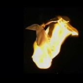 Paper Crows – Disarm