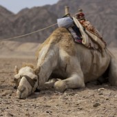 Egypt Holiday in Cairo and Dahab