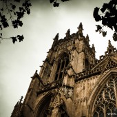 Photos: A morning in York & Deer Shed Festival