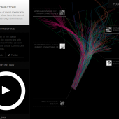 Muse Social Connectome