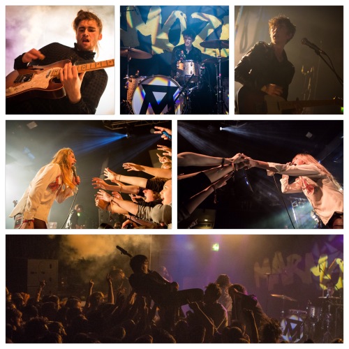 View Photos of Marmozets